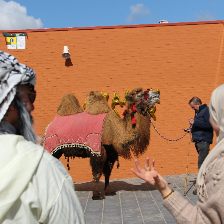 Turli millatlar ortasida jinsiy aloqa Eng yaxshi onlayn porno videolar